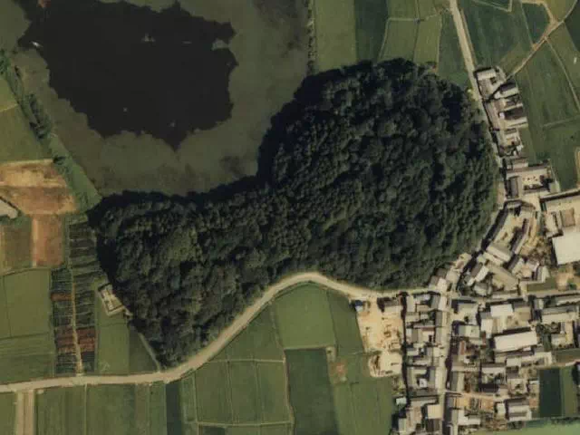 箸墓古墳(国土地理院:地図・空中写真閲覧サービスより)